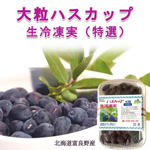 大粒ハスカップ生冷凍実（特選）400ｇ 北海道富良野産－株式会社 TKS