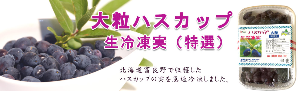 大粒ハスカップ生冷凍実 特選 400ｇ 北海道富良野産 株式会社 Tksタングロン