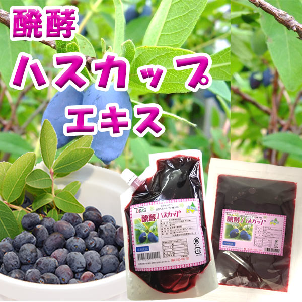 北海道の果実 令和5年収穫ハスカップ（冷凍）５００ｇ×２個 - 通販